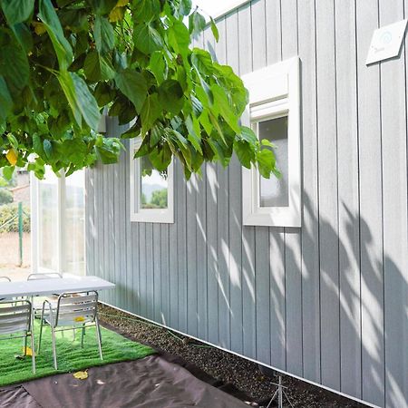 Camping Vila Village Sant Feliu de Buixalleu Exterior foto